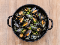 Mossel Week