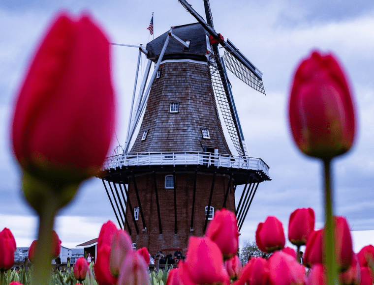 ''Ik Hou Van Holland''