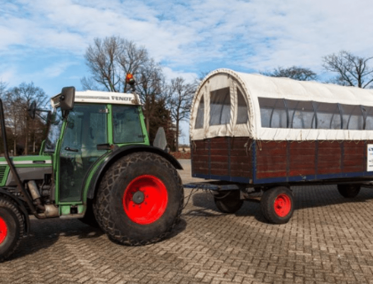 Covered wagon rental 