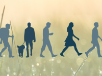 Dauwtrappen naar den Bosch